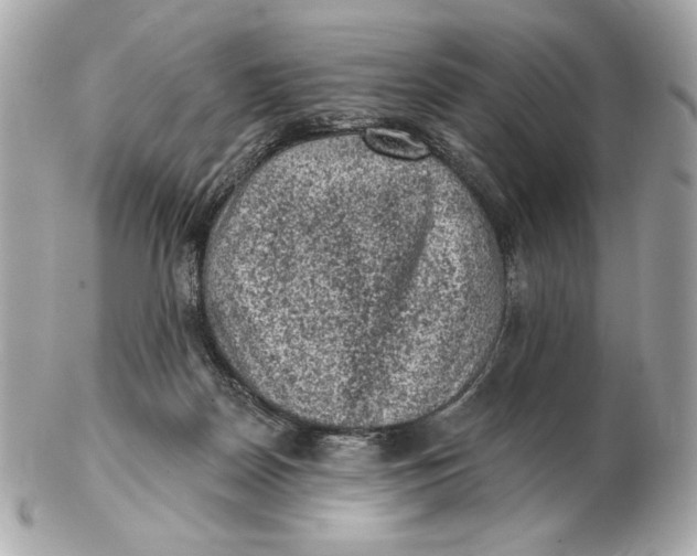 X0000102460170200808291550