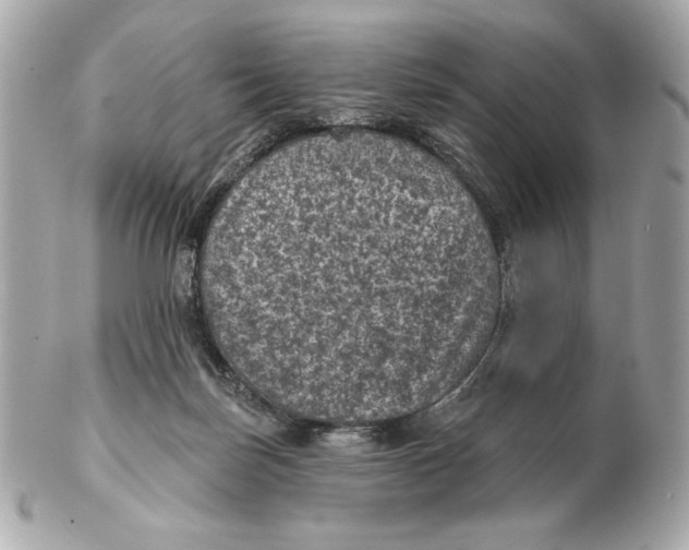 X0000102460171200808291550