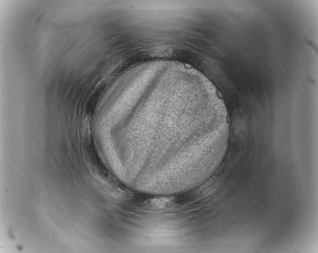 X0000102460172200808291550