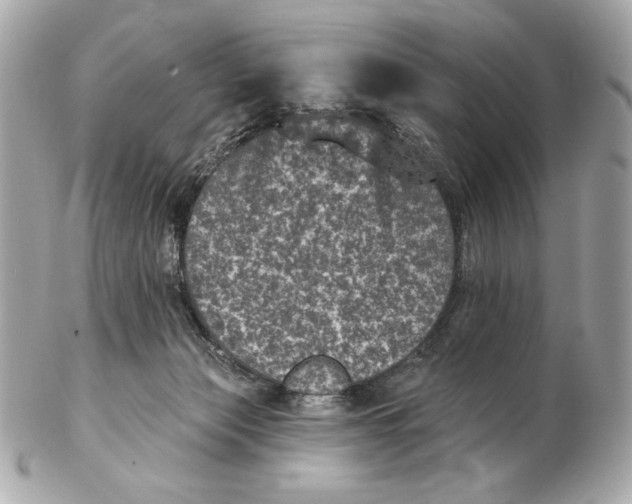 X0000102460173200808291550