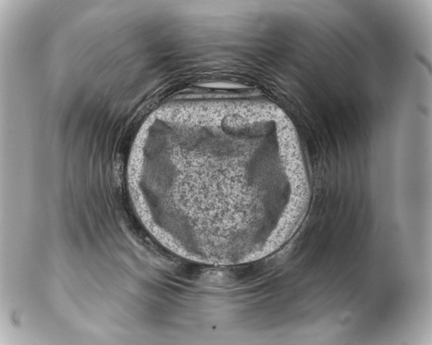 X0000102460174200808291550