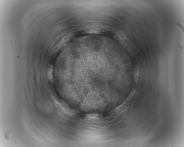 X0000102460175200808291550