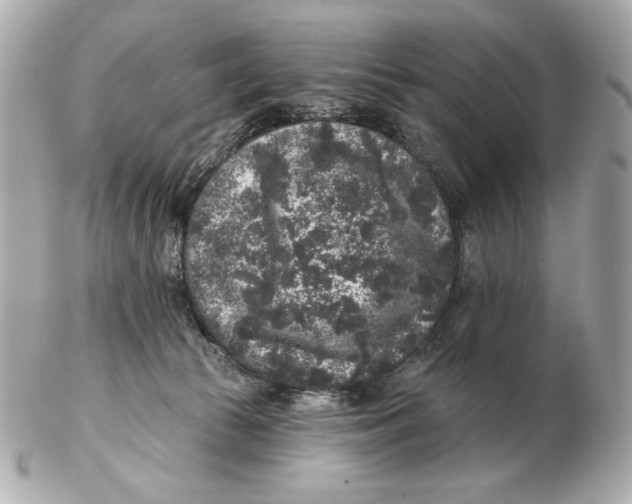 X0000102460177200808291550