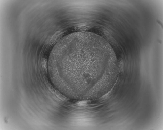 X0000102460178200808291550