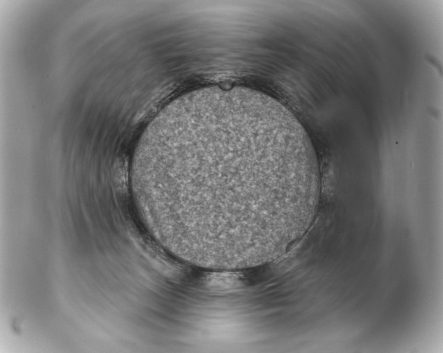 X0000102460179200808291550