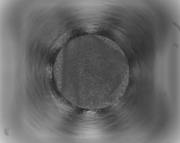 X0000102460180200808291550