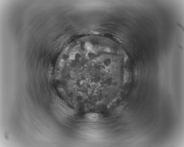 X0000102460181200808291550