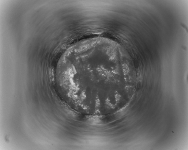 X0000102460182200808291550
