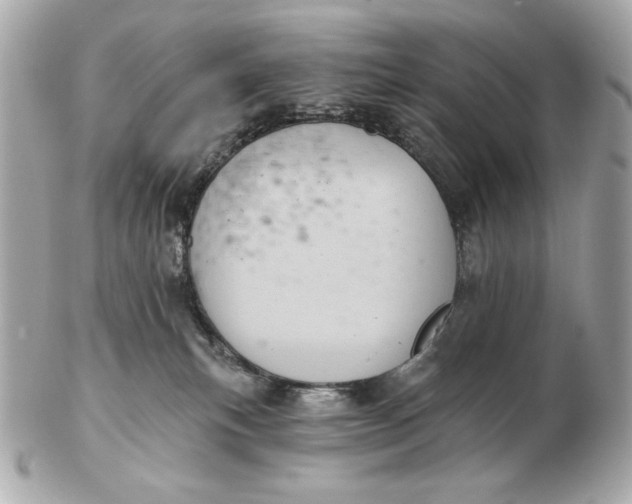 X0000102460183200808291550