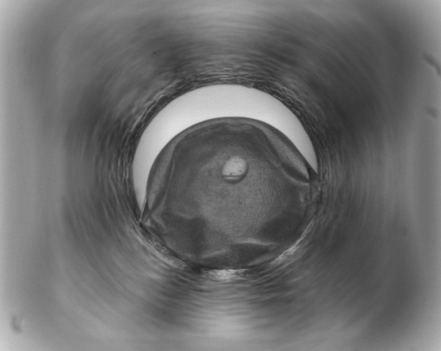 X0000102460184200808291550