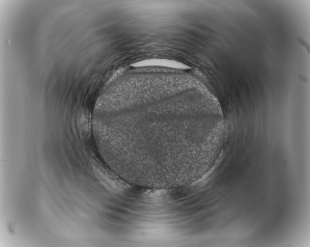 X0000102460186200808291550