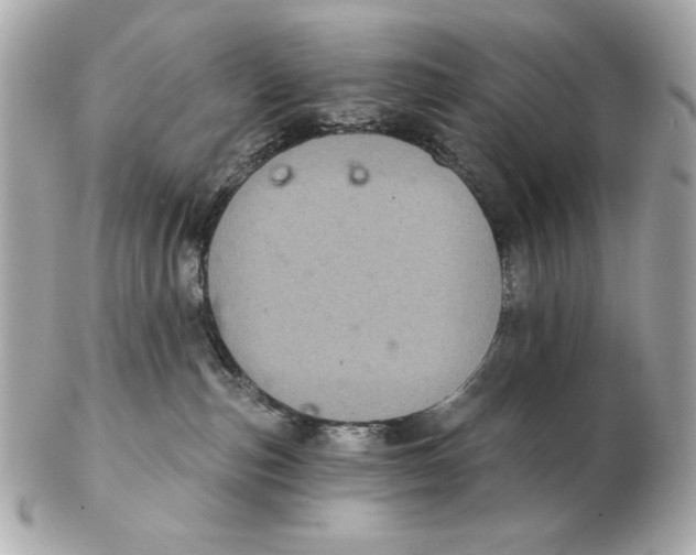 X0000102460187200808291550