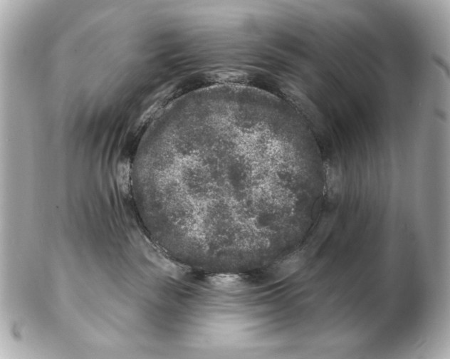 X0000102460189200808291550