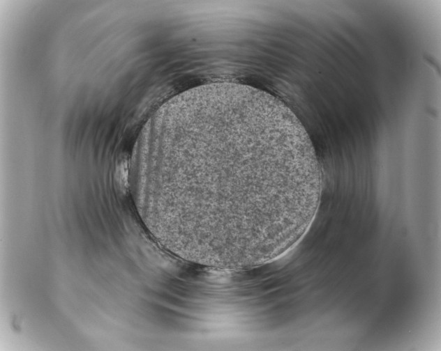 X0000102460190200808291550