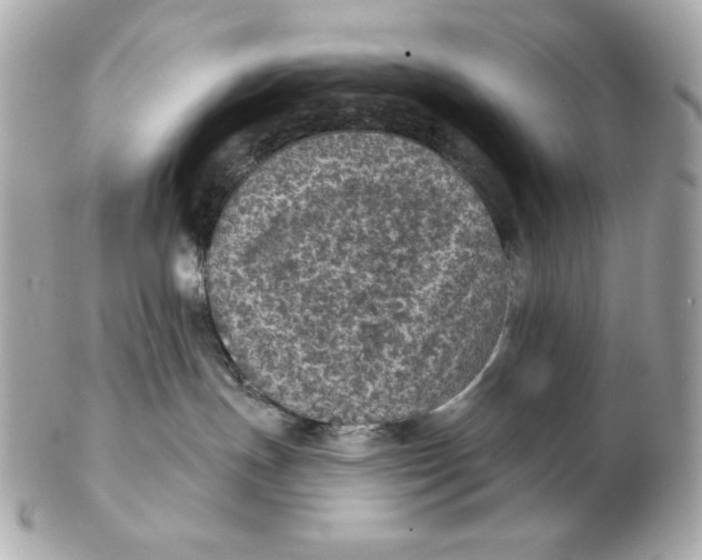 X0000102460191200808291550