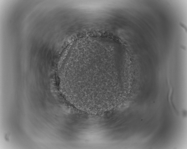 X0000102460192200808291550