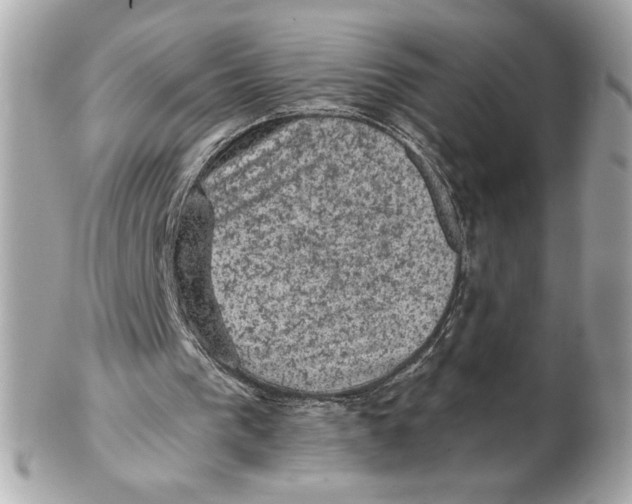 X0000102460193200808291549