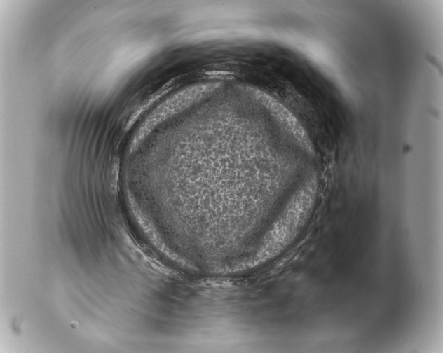 X0000102460194200808291549