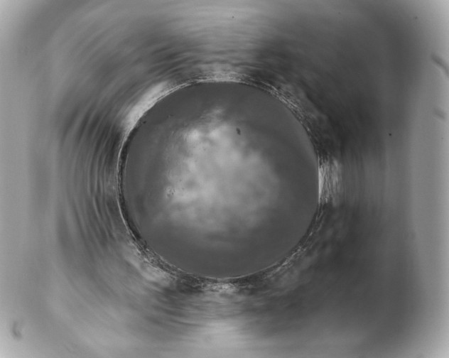 X0000102460195200808291549