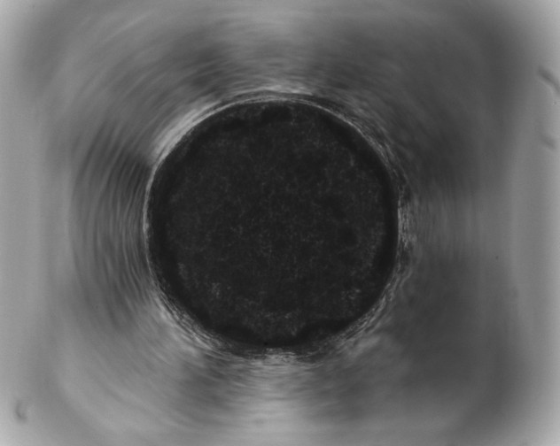 X0000102460196200808291549