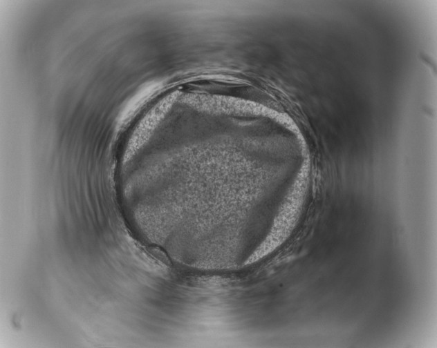 X0000102460197200808291549