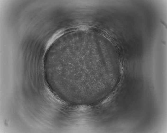 X0000102460198200808291549