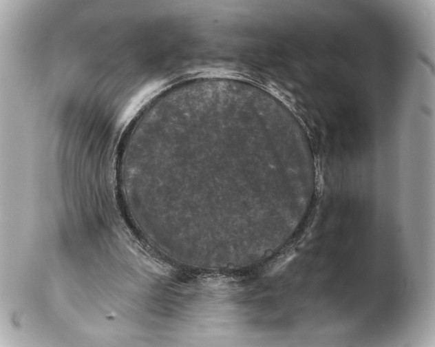 X0000102460199200808291549