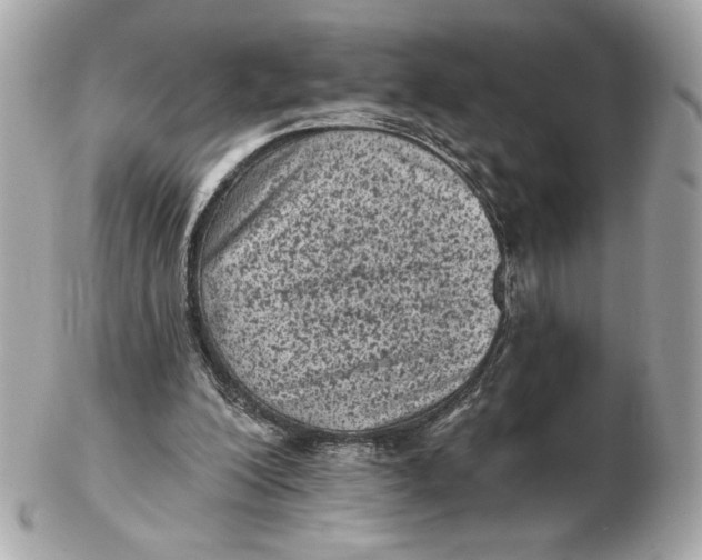 X0000102460200200808291549