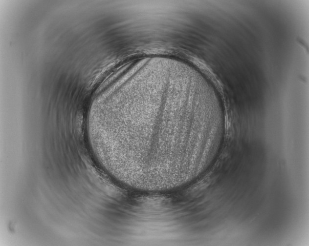 X0000102460201200808291549