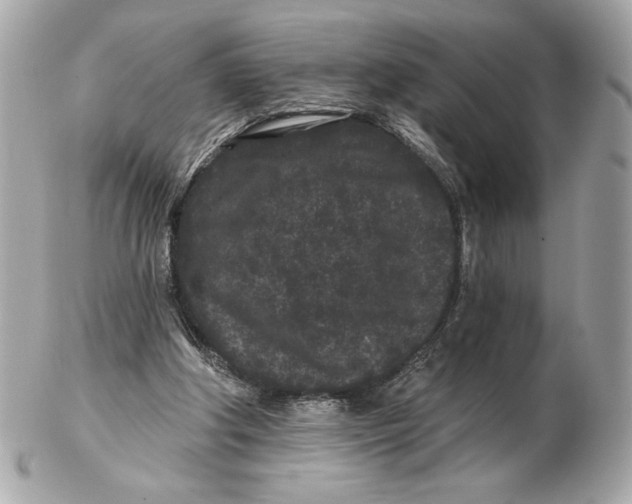 X0000102460202200808291549