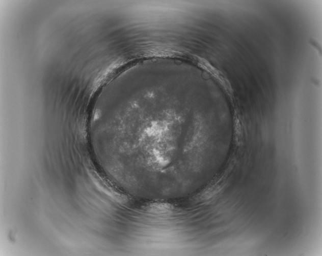 X0000102460203200808291549