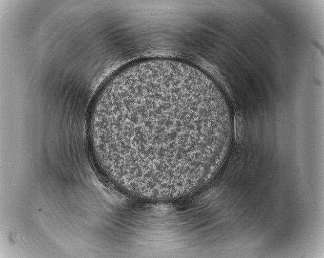X0000102460204200808291549