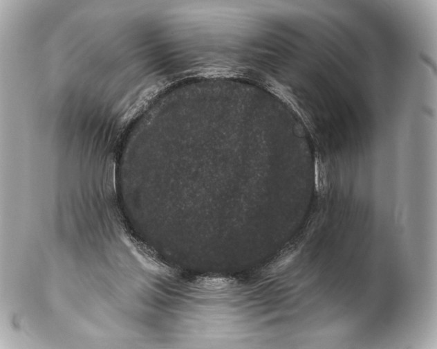 X0000102460205200808291549
