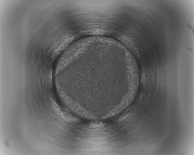 X0000102460206200808291549