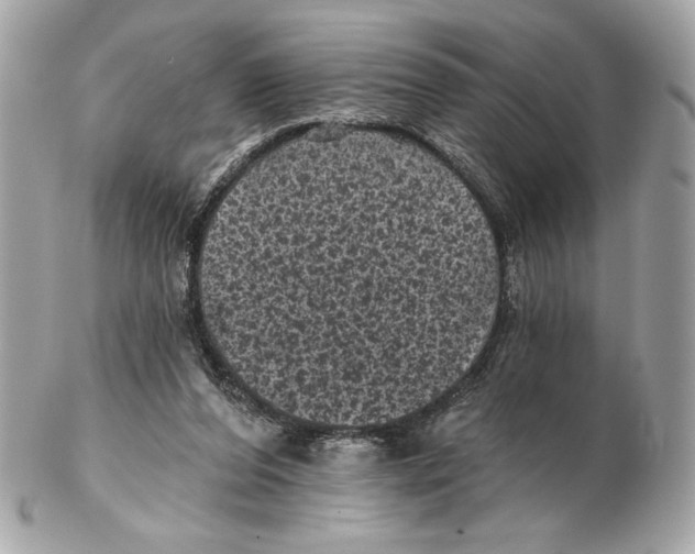 X0000102460208200808291549