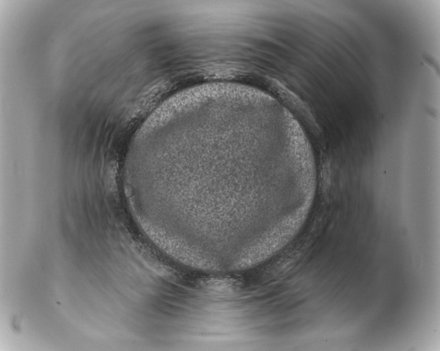 X0000102460209200808291549