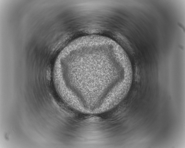 X0000102460210200808291549