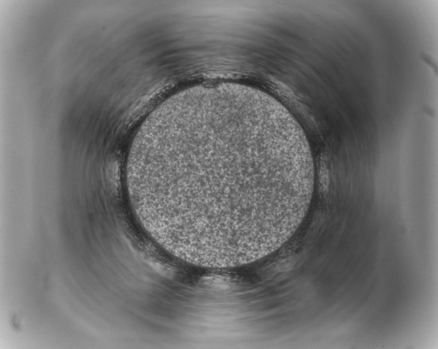X0000102460211200808291549