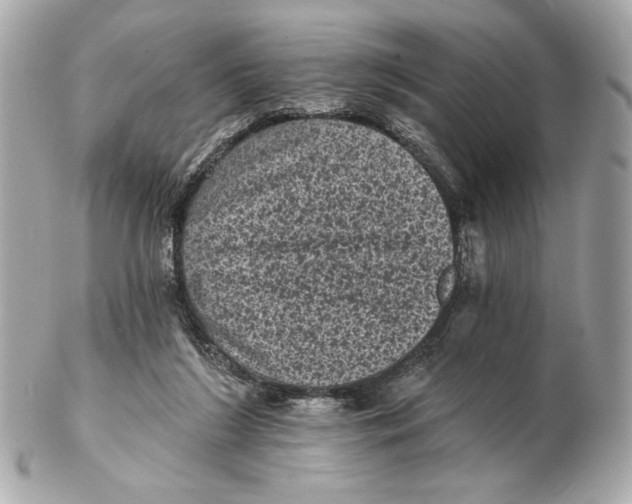 X0000102460212200808291549