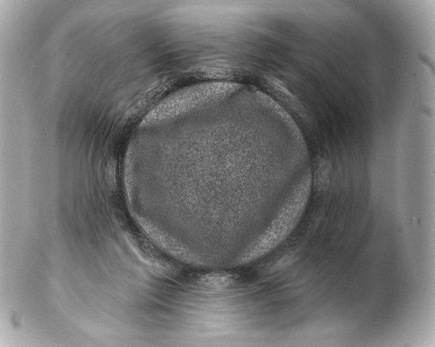 X0000102460213200808291549