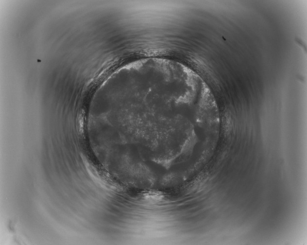 X0000102460214200808291549