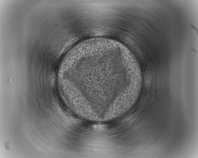 X0000102460216200808291549