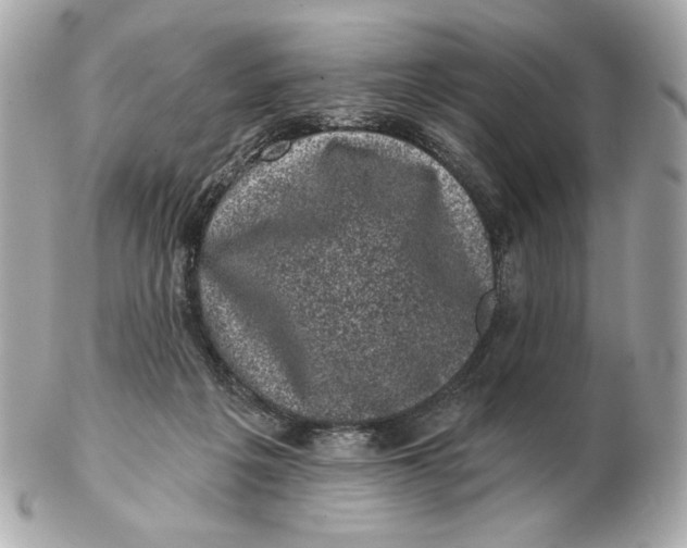 X0000102460217200808291549