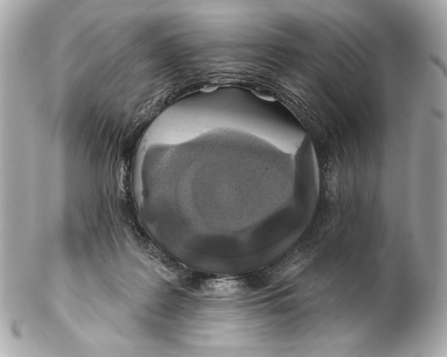 X0000102460219200808291549