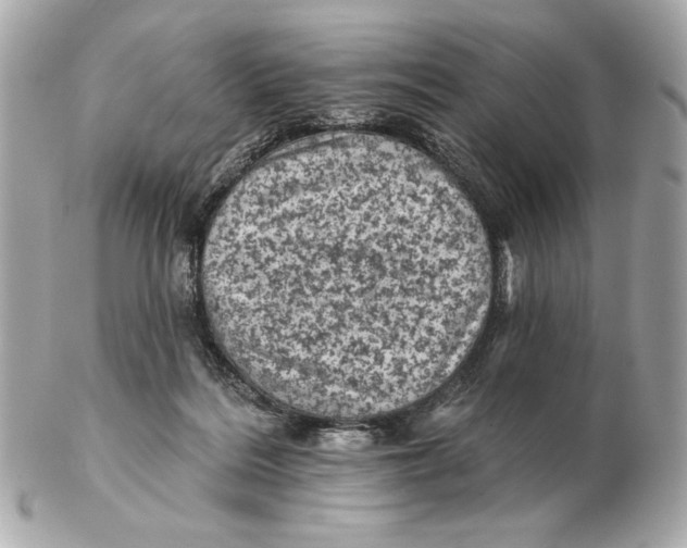 X0000102460220200808291549