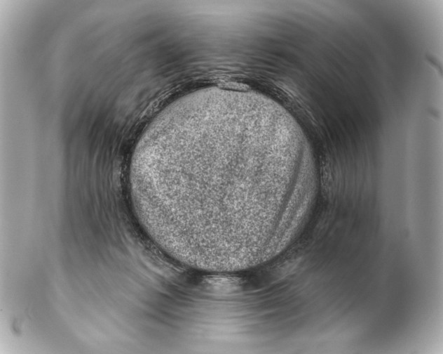 X0000102460221200808291549