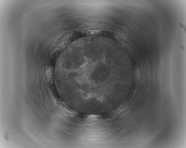 X0000102460222200808291549