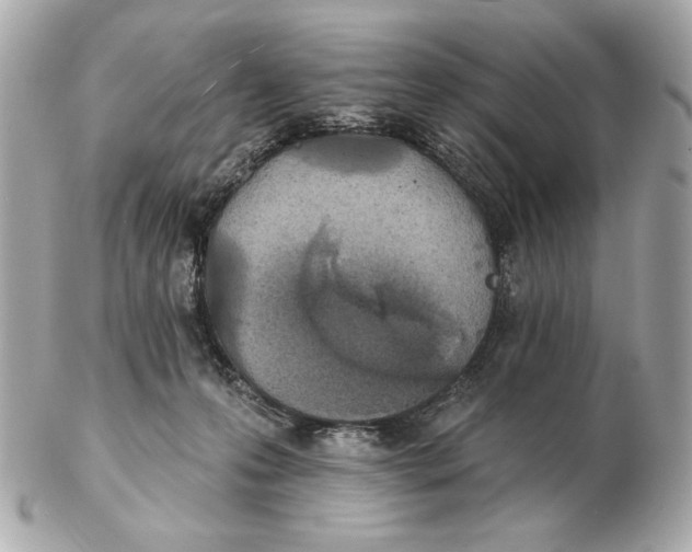 X0000102460223200808291549