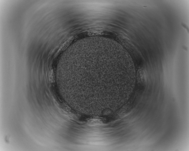 X0000102460224200808291549