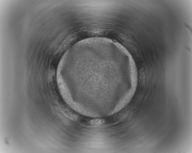 X0000102460225200808291549